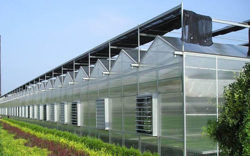 Mái nhựa polycarbonate phù hợp sử dụng cho các mái che sân vườn