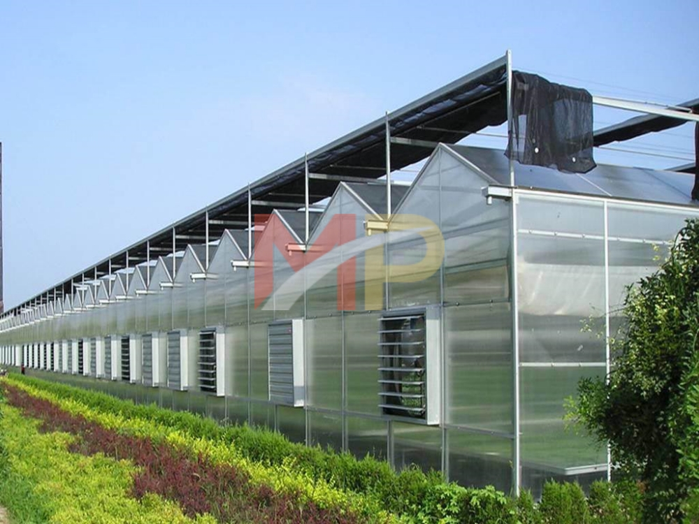 tấm lợp lấy sáng đặc ruột